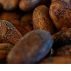  Les chocolats de Madagascar d&eacute;gust&eacute;s en Europe ou aux Etats-Unis