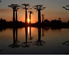 Les beaut&eacute;s de Madagascar