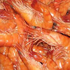 L'exportation de crevettes estim&eacute;e &agrave; 56 millions de dollars en 2015