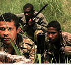 Madagascar : une embuscade a fait deux morts dans la r&eacute;gion Melaky