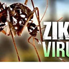 Madagascar touch&eacute; par le virus Zika