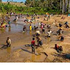 Madagascar : une soci&eacute;t&eacute; chinoise cr&eacute;e la pol&eacute;mique