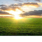Lancement de projets pilotes int&eacute;grant la gouvernance fonci&egrave;re au d&eacute;veloppement de l'agriculture