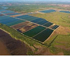 L&rsquo;aquaculture bio au service du d&eacute;veloppement durable &agrave; Madagascar