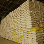 Madagascar importe 60.000 tonnes de riz pour faire face &agrave; la p&eacute;riode de soudure