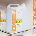 Le Covid Organics est d&eacute;conseill&eacute; par l'OMS