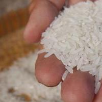 Prix du riz &agrave; Madagascar&nbsp;: la mission impossible du gouvernement