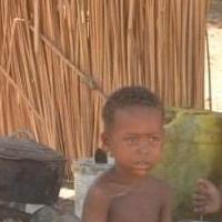 S&eacute;curit&eacute; alimentaire: Mobilisation et implication des acteurs locaux