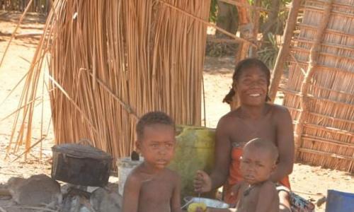 S&eacute;curit&eacute; alimentaire: Mobilisation et implication des acteurs locaux