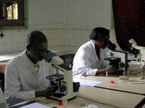 Madagascar: la peste fait 8 morts, l'&eacute;pid&eacute;mie sous contr&ocirc;le