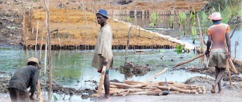 COP21 : &agrave; Madagascar, des paysans sur la voie de la r&eacute;silience