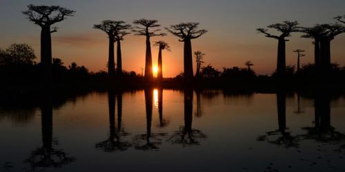 Les beaut&eacute;s de Madagascar