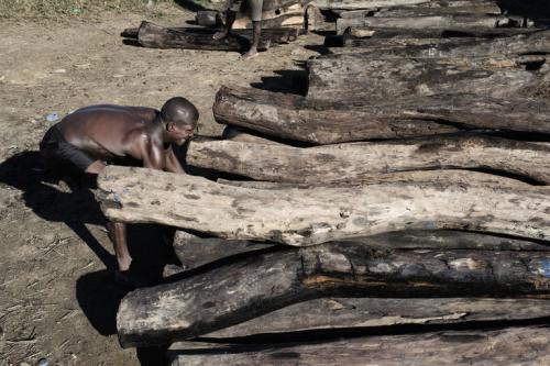 Madagascar continue de fermer les yeux sur le trafic du bois de rose