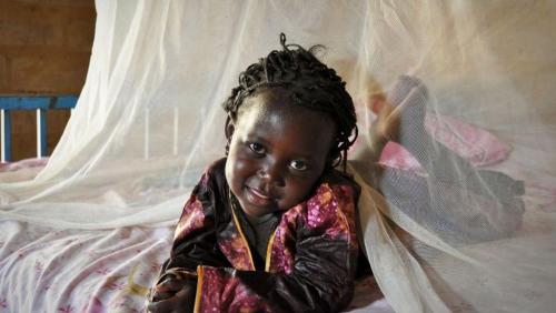 Madagascar: 70 millions de dollars pour la lutte contre le paludisme