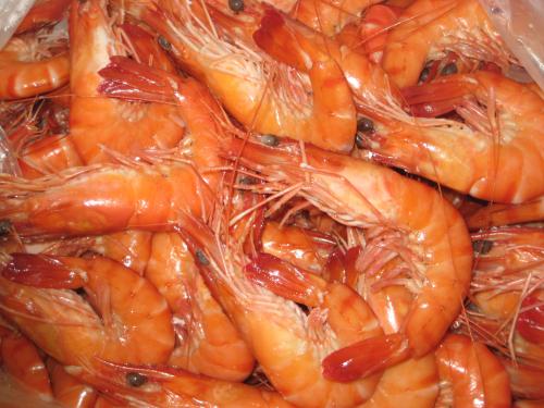 L'exportation de crevettes estim&eacute;e &agrave; 56 millions de dollars en 2015