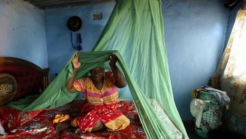 Madagascar: 740 000 personnes touch&eacute;es par le paludisme