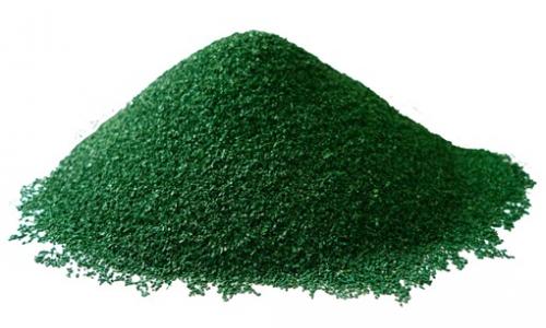 Madagascar: &laquo;L&rsquo;or vert&raquo;, la spiruline