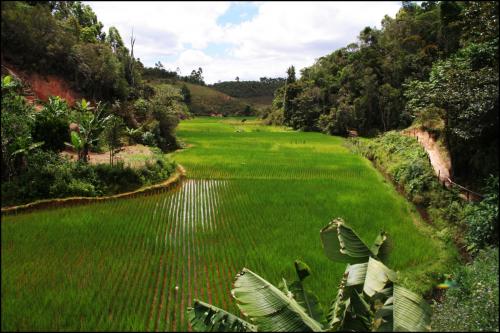 Ce que Madagascar ne sera plus