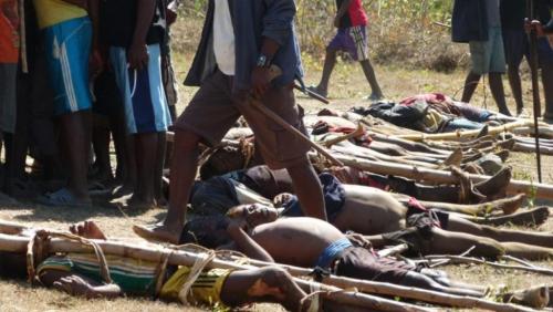Madagascar: malgr&eacute; une unit&eacute; sp&eacute;ciale, les dahalos continuent les attaques