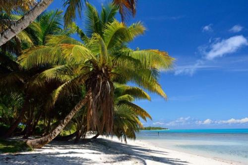 Madagascar: 4 arrestations apr&egrave;s le meurtre de 2 Fran&ccedil;ais 