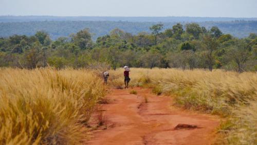 Madagascar: l'&eacute;cotourisme peut-il &ecirc;tre un levier de d&eacute;veloppement?