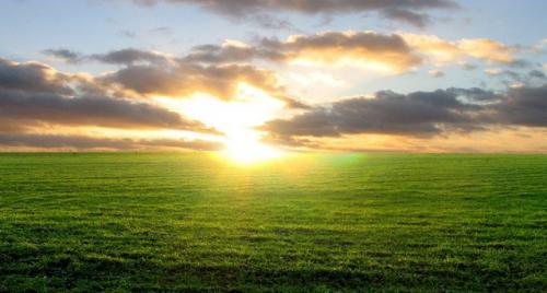 Lancement de projets pilotes int&eacute;grant la gouvernance fonci&egrave;re au d&eacute;veloppement de l'agriculture