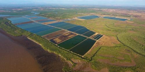 L&rsquo;aquaculture bio au service du d&eacute;veloppement durable &agrave; Madagascar