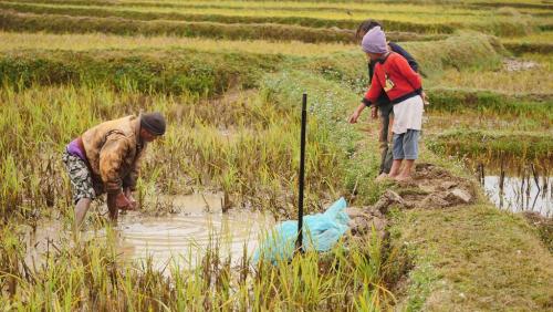 Madagascar: des pluies artificielles pour combattre la s&eacute;cheresse