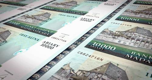 Une parit&eacute; fixe de l&rsquo;ARIARY avec l&rsquo;EURO ou USD serait-elle vraiment une aberration ?