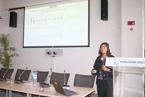 Madagascar: Croissance &eacute;conomique, des secteurs porteurs &agrave; renforcer