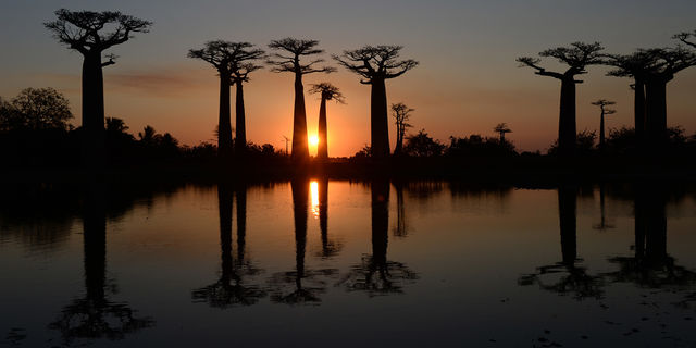 madagascar 1451823086-39f11c85-f901-4b8c-913c-57052f831738_ORIGINAL.jpg