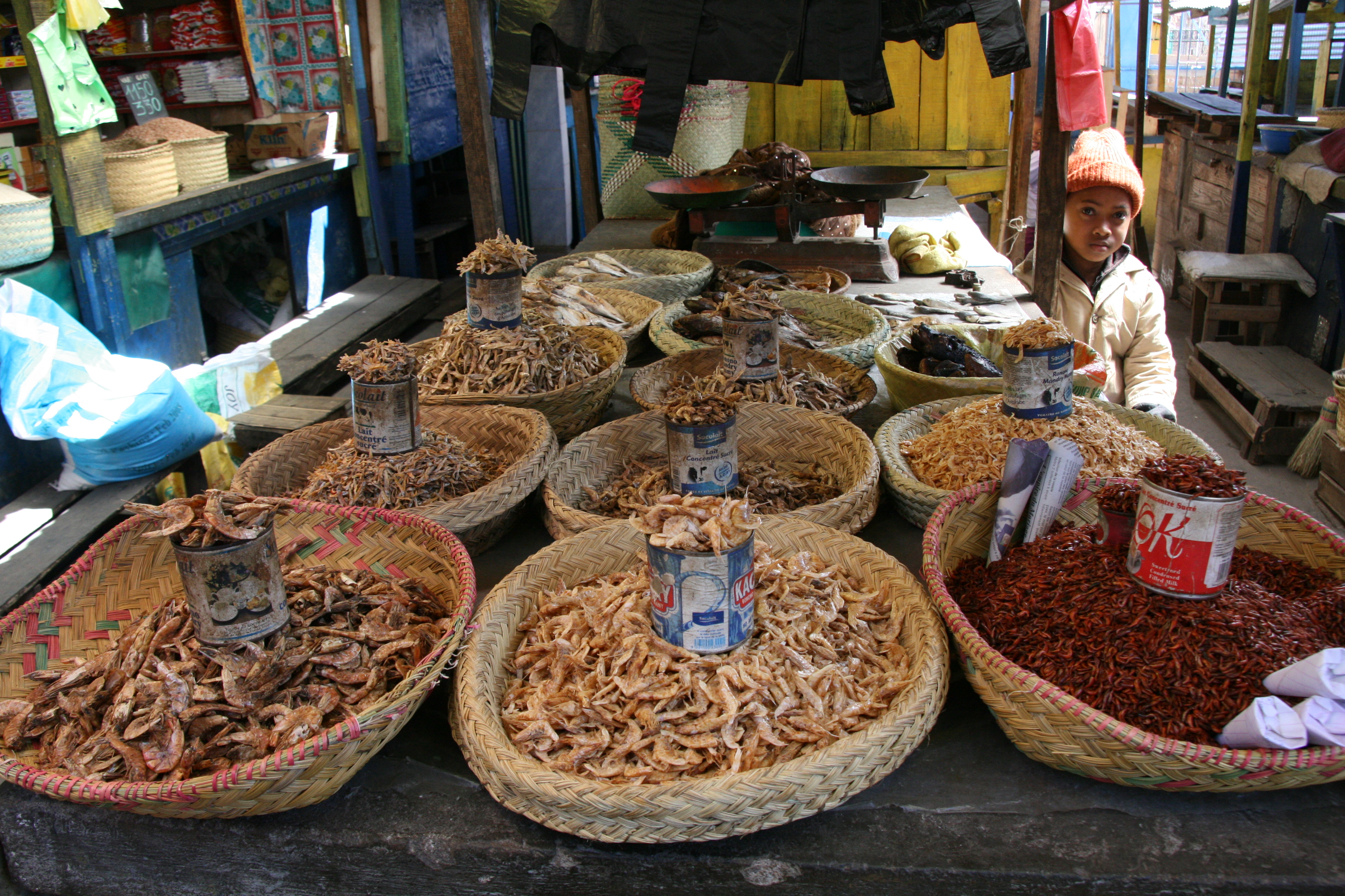 madagascar 1459019628-3489127645_b794c15d1f_o.jpg
